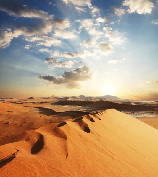 Песчаная пустыня — стоковое фото