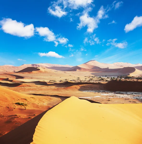Piasek pustyni — Zdjęcie stockowe