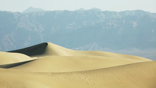 stock image Sand dune