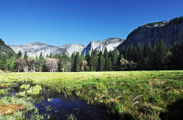 Frühling im Yosemite — Stockfoto