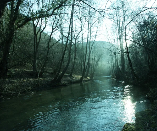 Wiosna nad rzeką — Zdjęcie stockowe