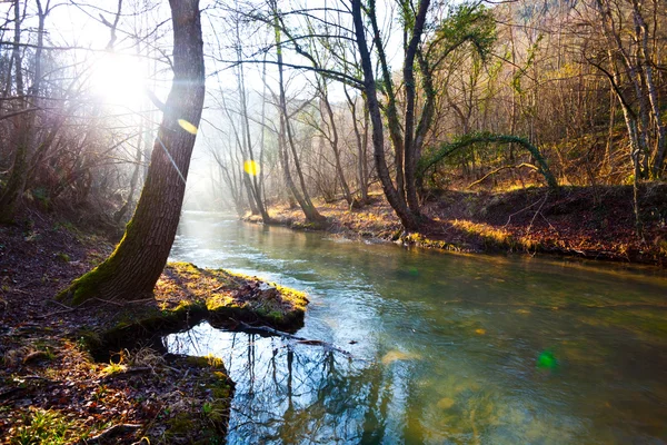 Spring river — Stock Photo, Image