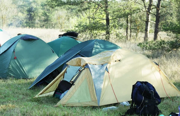 Tenda nella foresta — Foto Stock