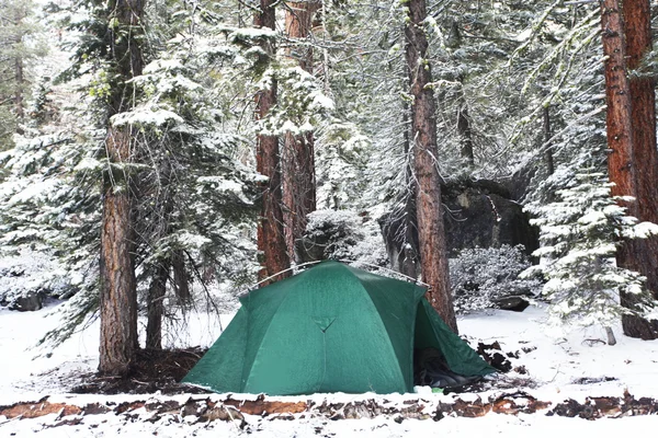 Палатка в лесу — стоковое фото