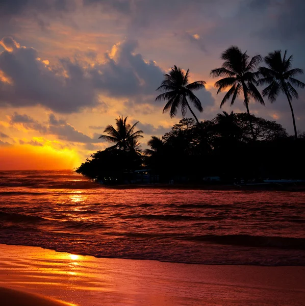 热带海滩 — 图库照片