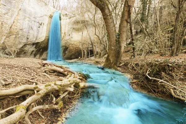 stock image Waterfall in forest