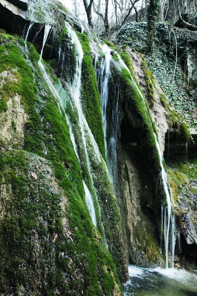 stock image Waterfall in forest