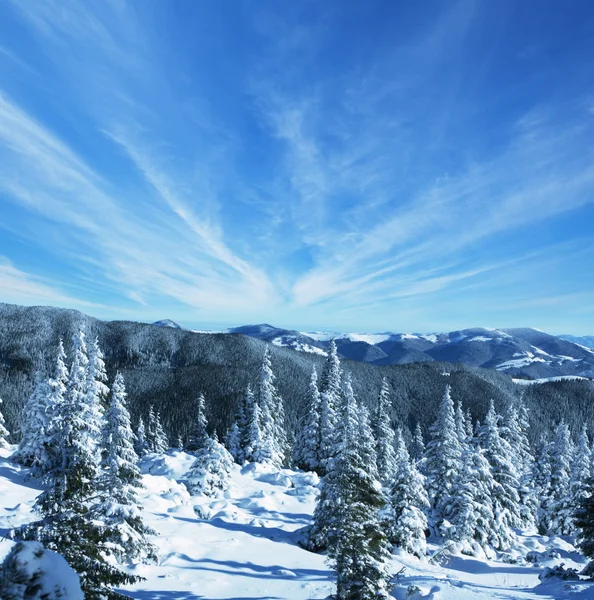 Winter in mountains — Stock Photo, Image