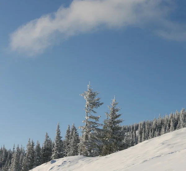 Temporada de invierno en las montañas — Foto de Stock
