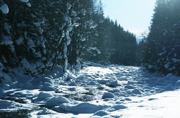 kışları creek