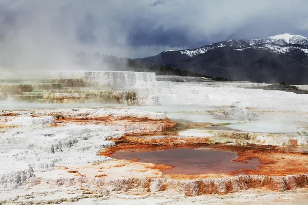 Yellowstone ζεστό άνοιξη — Φωτογραφία Αρχείου