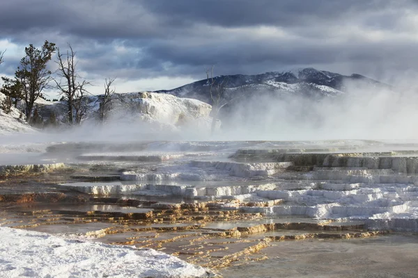 Yellowstone. — Fotografia de Stock