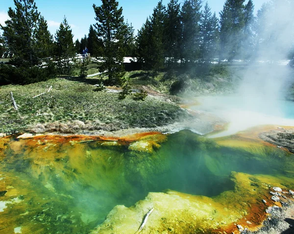 Yellowstone. —  Fotos de Stock