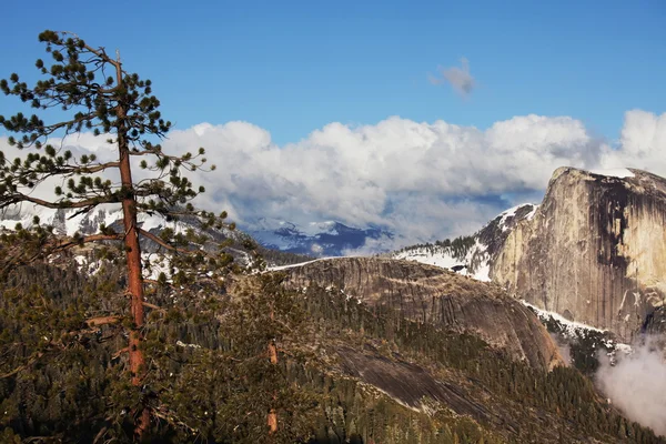 Yosemite — Stok fotoğraf