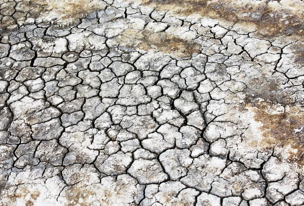 Drought Royalty Free Stock Images