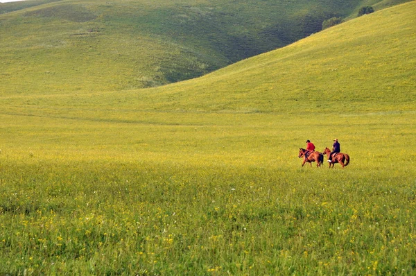 Riders on green meadow — Stock Photo, Image