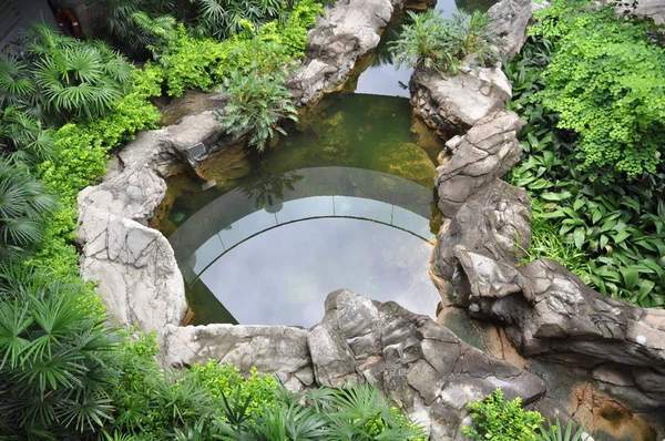 Jardim do telhado com lagoa de peixes — Fotografia de Stock