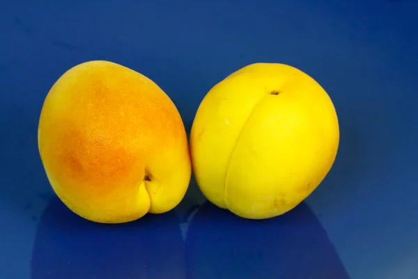 stock image Apricots