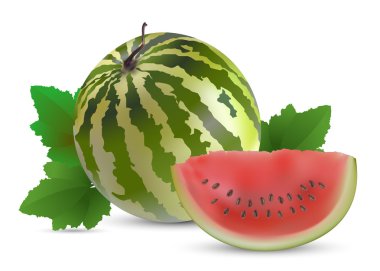 Watermelon with slices clipart