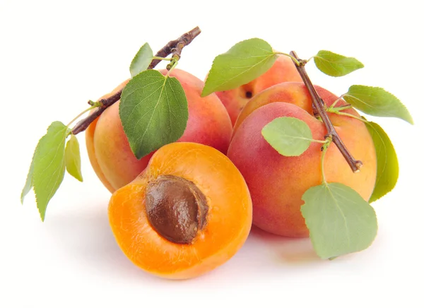 Apricot with leaves — Stock Photo, Image