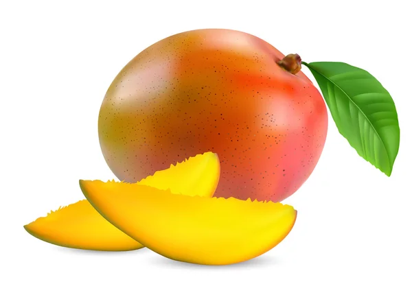 新鮮なマンゴーの実 — ストックベクタ