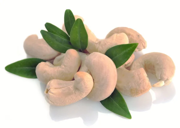 Rijp cashewnoten met bladeren — Stockfoto
