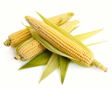 Fresh corn fruits clipart