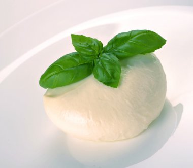 Fesleğenli mozzarella