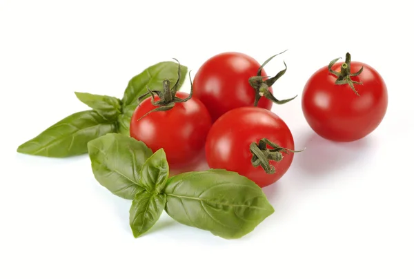 Hojas de albahaca y tomates —  Fotos de Stock