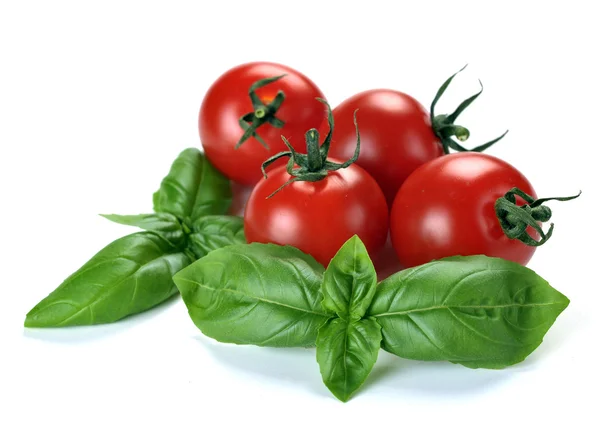 Folhas de manjericão e tomates — Fotografia de Stock