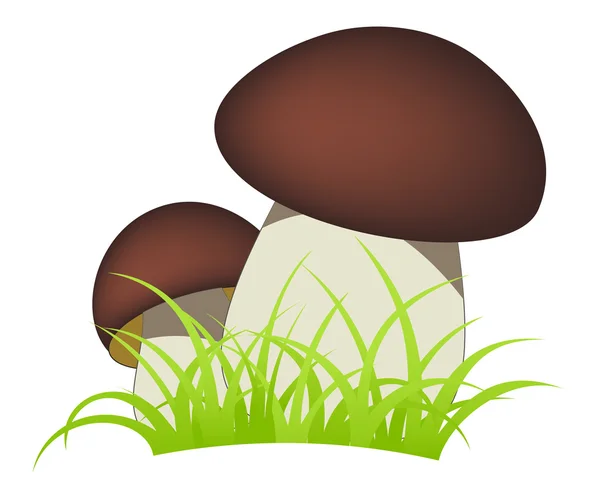 Funghi — Vettoriale Stock