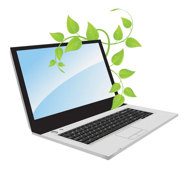 En bärbar dator med en växt. — Stock vektor