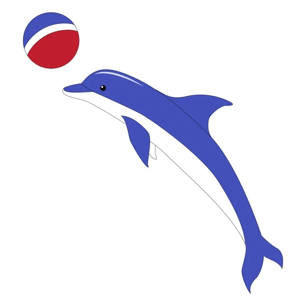Ein Delphin mit einem Ball — Stockvektor
