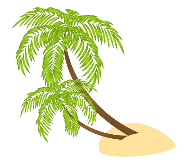 Два пальми — стоковий вектор