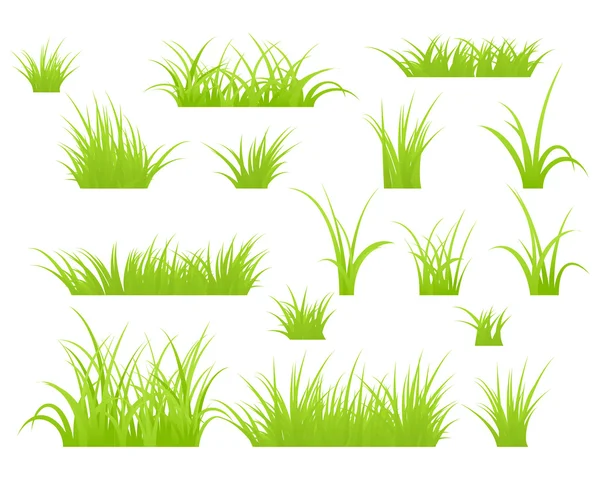 Grass isolated — Stock Vector