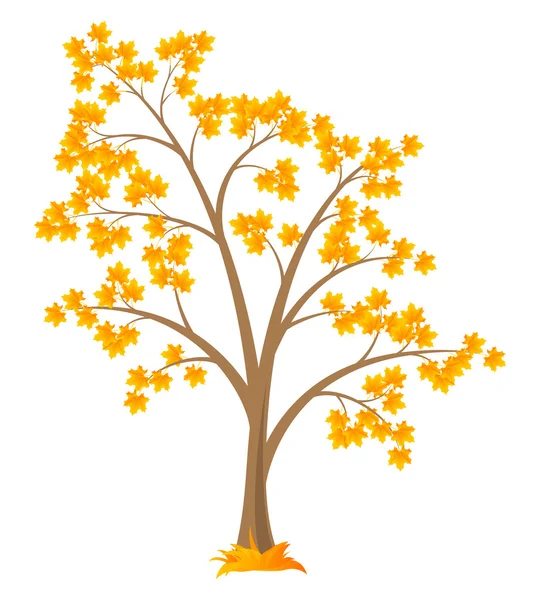 Tree Maple — Stock Vector