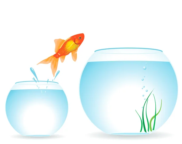Dvě akvária a ryby — Stockový vektor