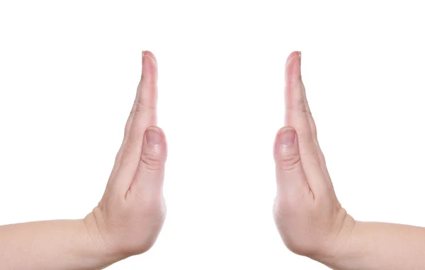 Duas palmas — Fotografia de Stock