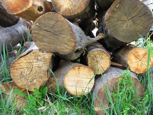 Empilhados troncos de madeira velha na grama — Fotografia de Stock