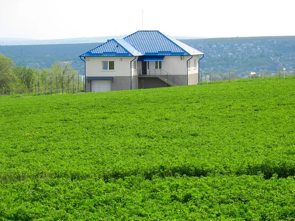 Osamělý obytný dům uprostřed zelené louky — Stock fotografie