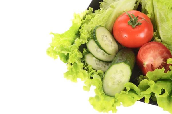 Grüner Salat, geschnittene Tomaten und Gurken isoliert auf weißem Hintergrund — Stockfoto