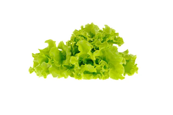Зелений салат ізольований на білому тлі — стокове фото