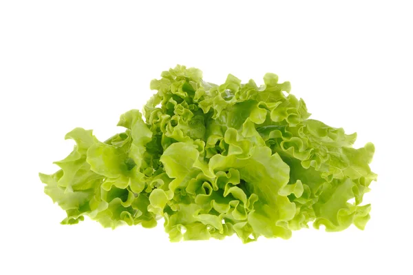 Groene salade geïsoleerd op de witte achtergrond — Stockfoto