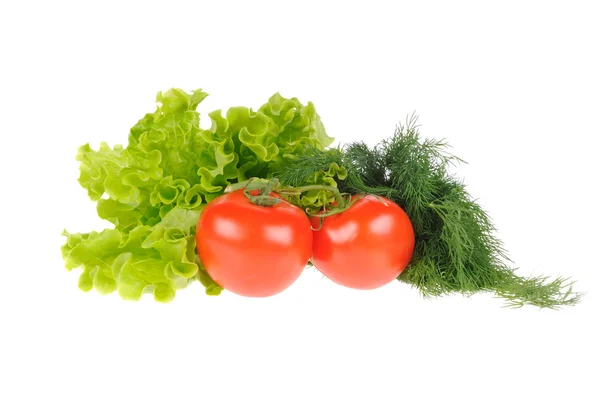 Groene salade, dille en tomaat geïsoleerd op de witte achtergrond — Stockfoto