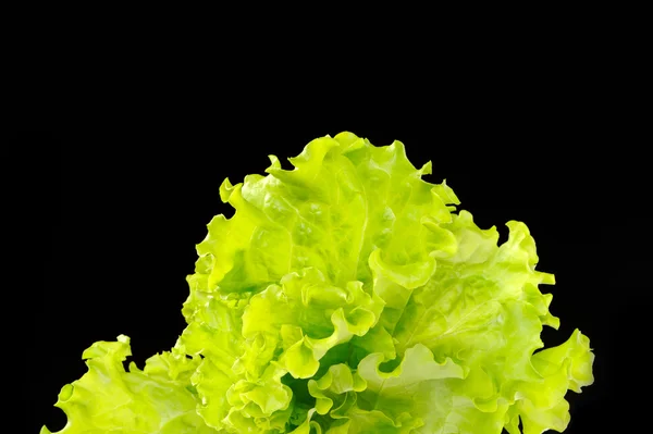 Groene salade geïsoleerd op een zwarte achtergrond — Stockfoto