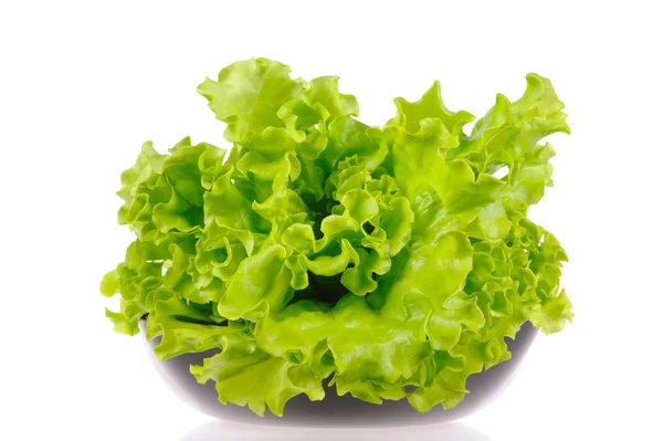 stock image Green salad in the blacl plate isolated on the white background