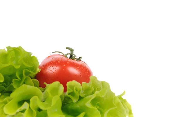 绿色沙拉和孤立在白色背景上的番茄 — 图库照片
