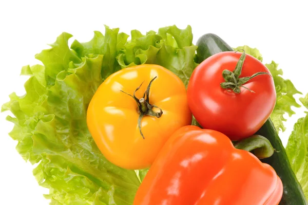 Grön sallad och tomat isolerat på den vita bakgrunden — Stockfoto