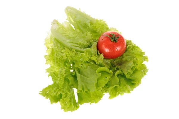 Salad hijau dan tomat diisolasi pada latar belakang putih — Stok Foto