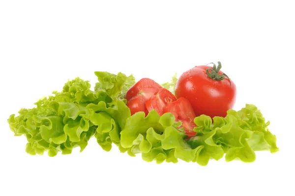 Grön sallad och tomat isolerat på den vita bakgrunden — Stockfoto